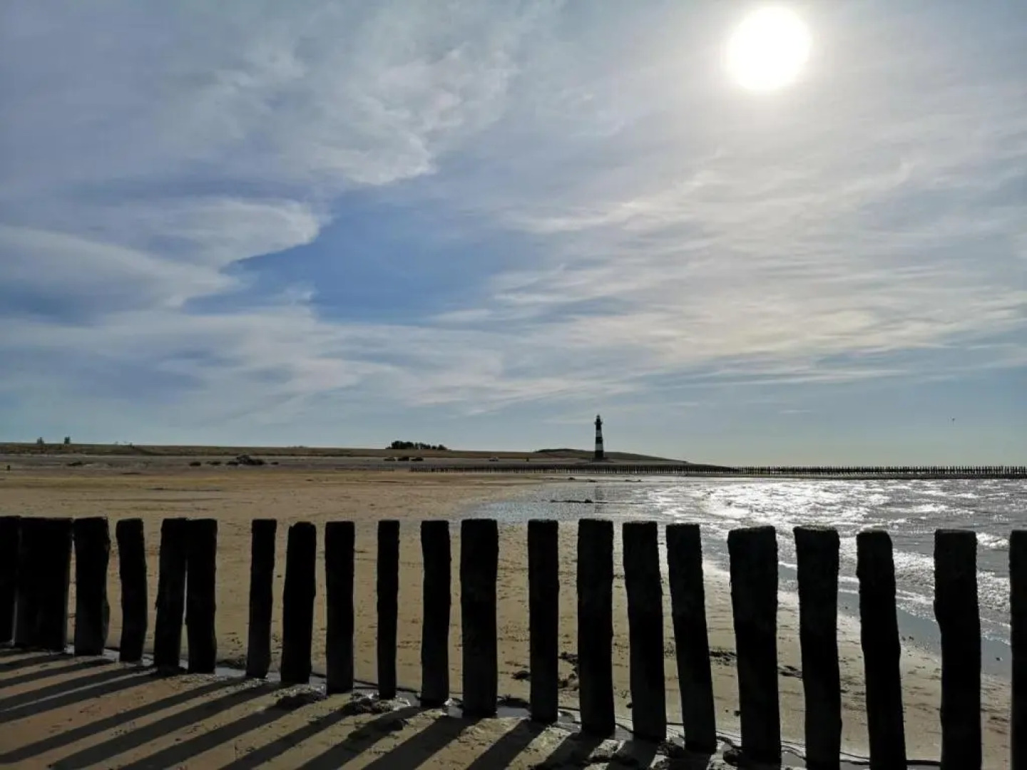 Park Schoneveld: Zeester 64