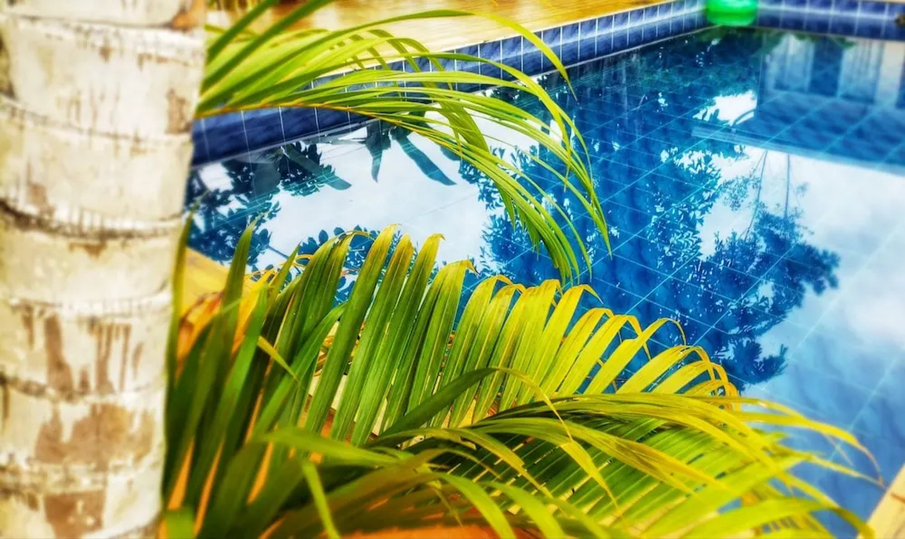 Saltish Hotel & Villas