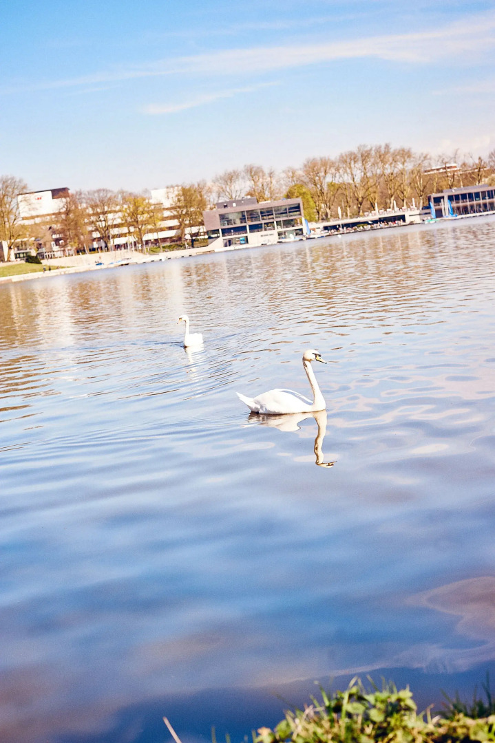 Jugendgästehaus Aasee - Hostel