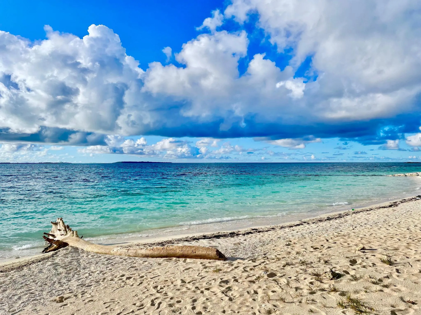 Day's Beach Hotel Zuicho