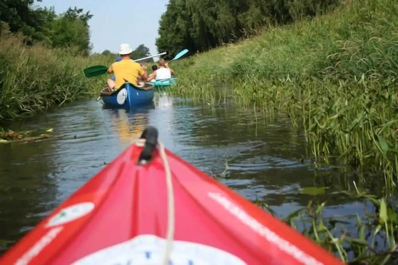 Ferienparadies Waldidylle