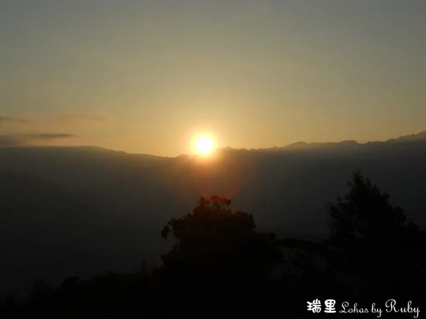 Walk Cloud Bed and Breakfast