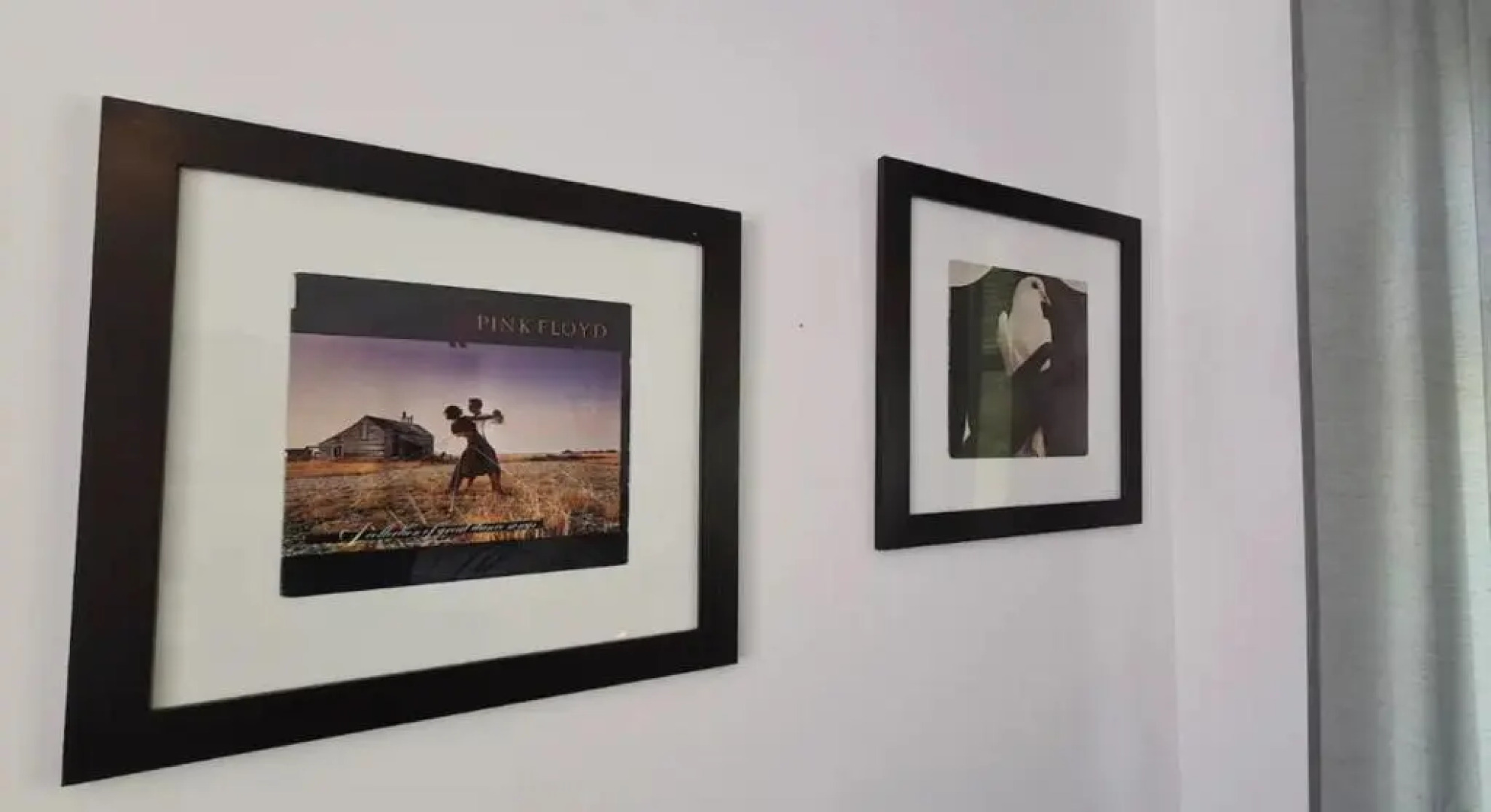 Studio tussen de bossen en de bollenvelden