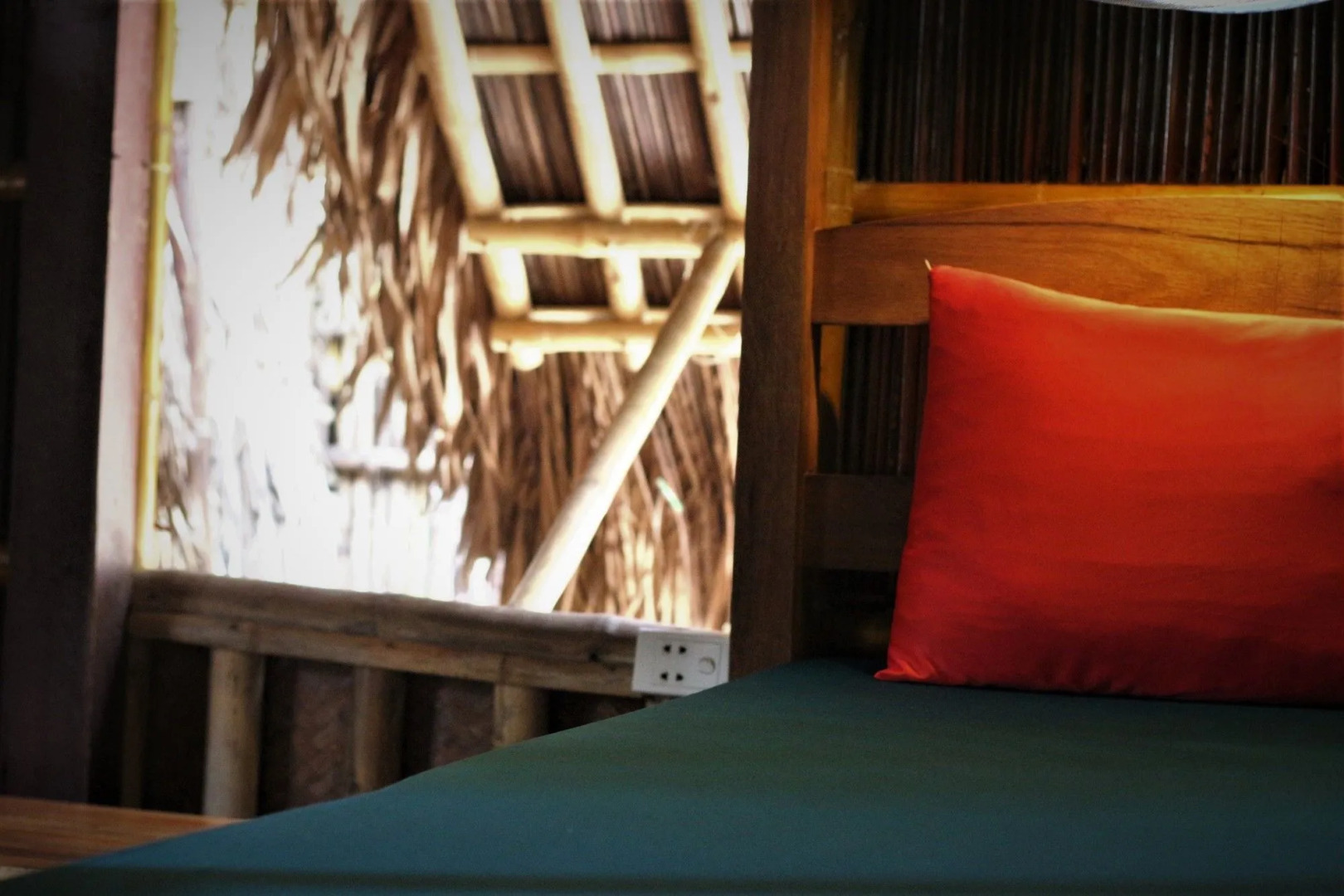 Under the coconut tree - Hostel