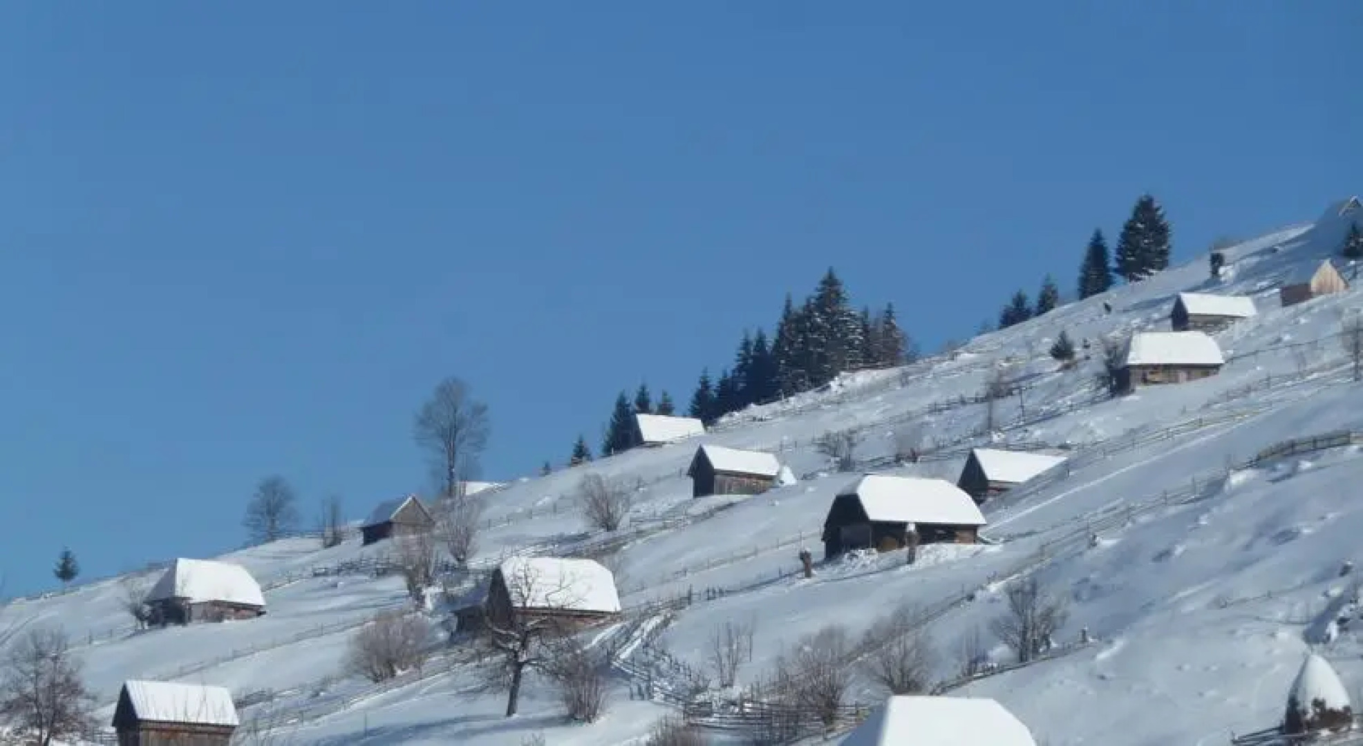 Cabana Bradul Moieciu