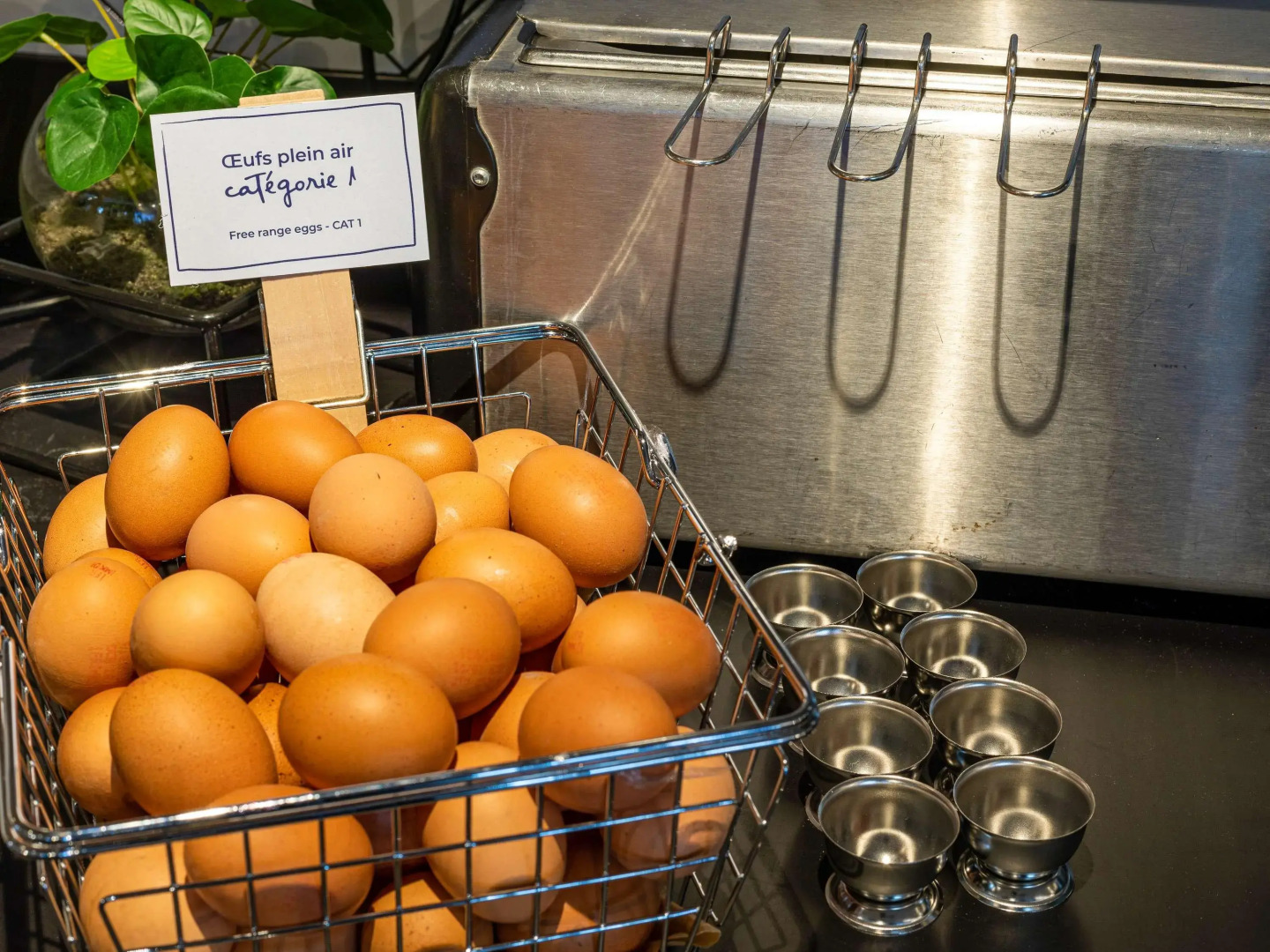 ibis Le Havre Sud Harfleur