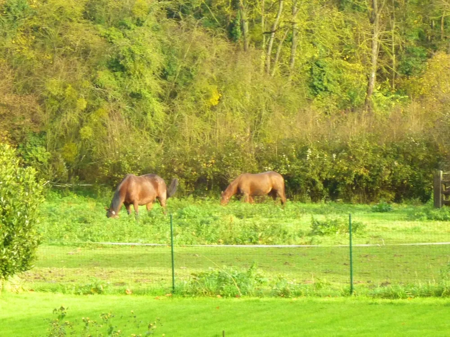 House With 2 Bedrooms in Touffreville-sur-eu, With Furnished Garden an