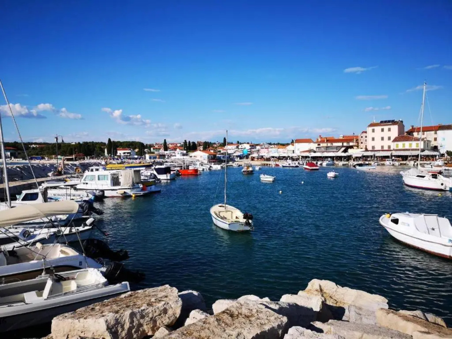 Apartments Đorđe & Anna