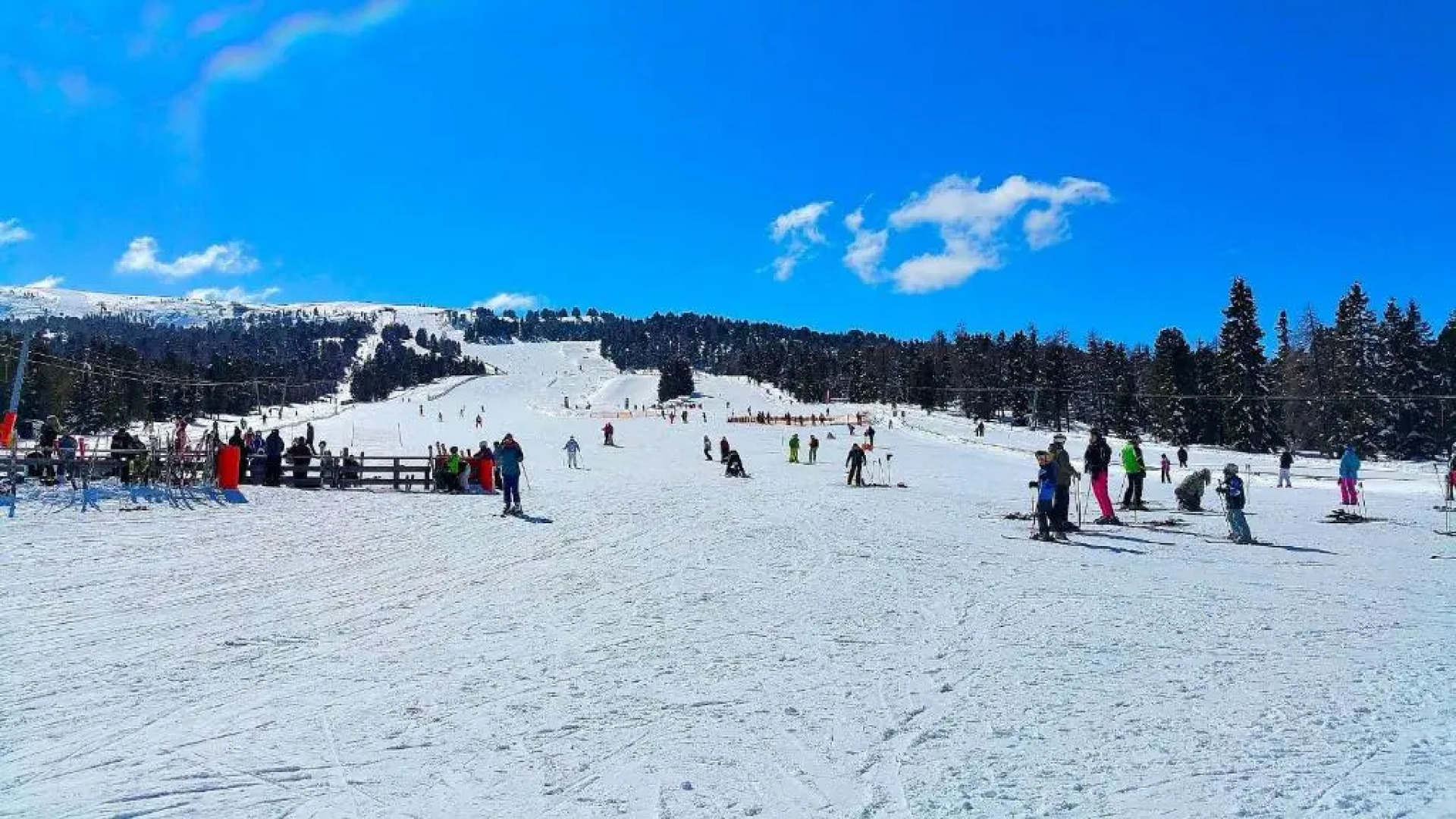 Kirschbaum Apartment