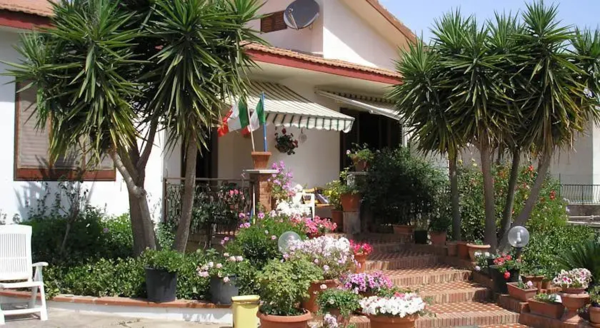 Rose Garden