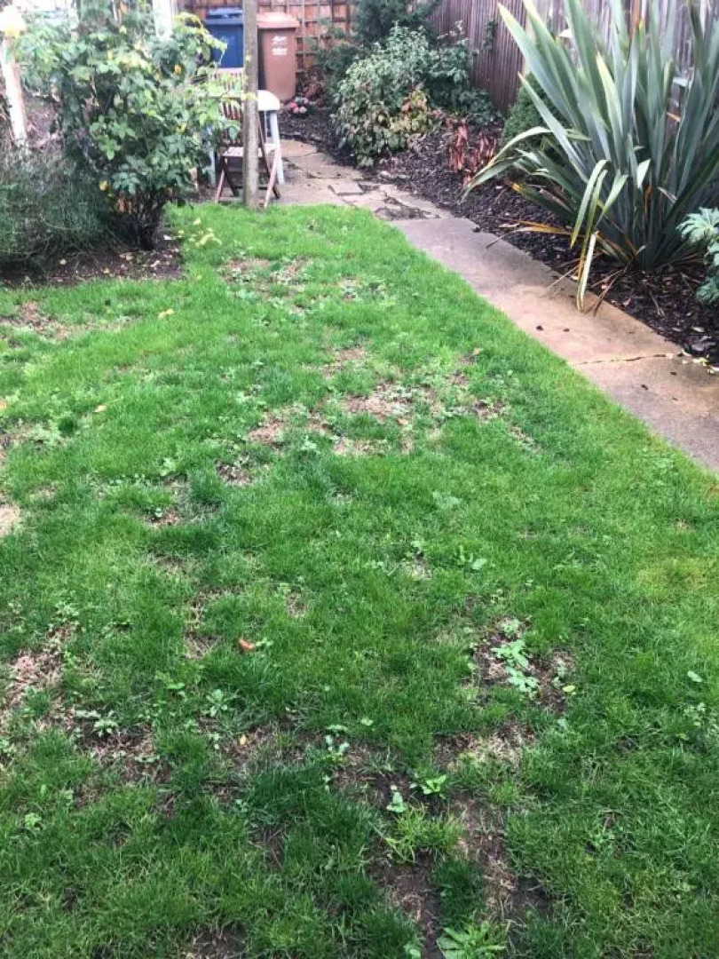 Unique One Bed Contemporary Bungalow Town Centre