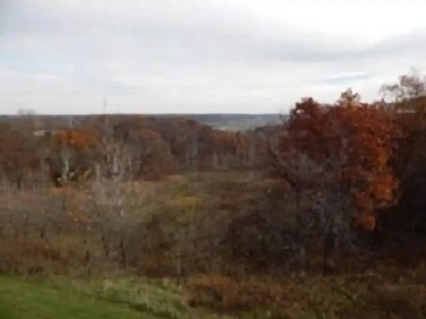 Longhollow Point Inn Studio 1321