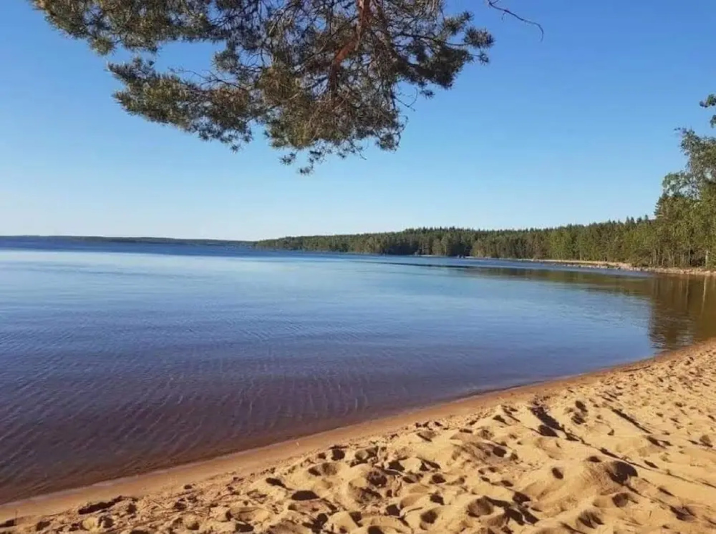 Guesthouse With Loft at Lake Skagern, Spa & Yoga