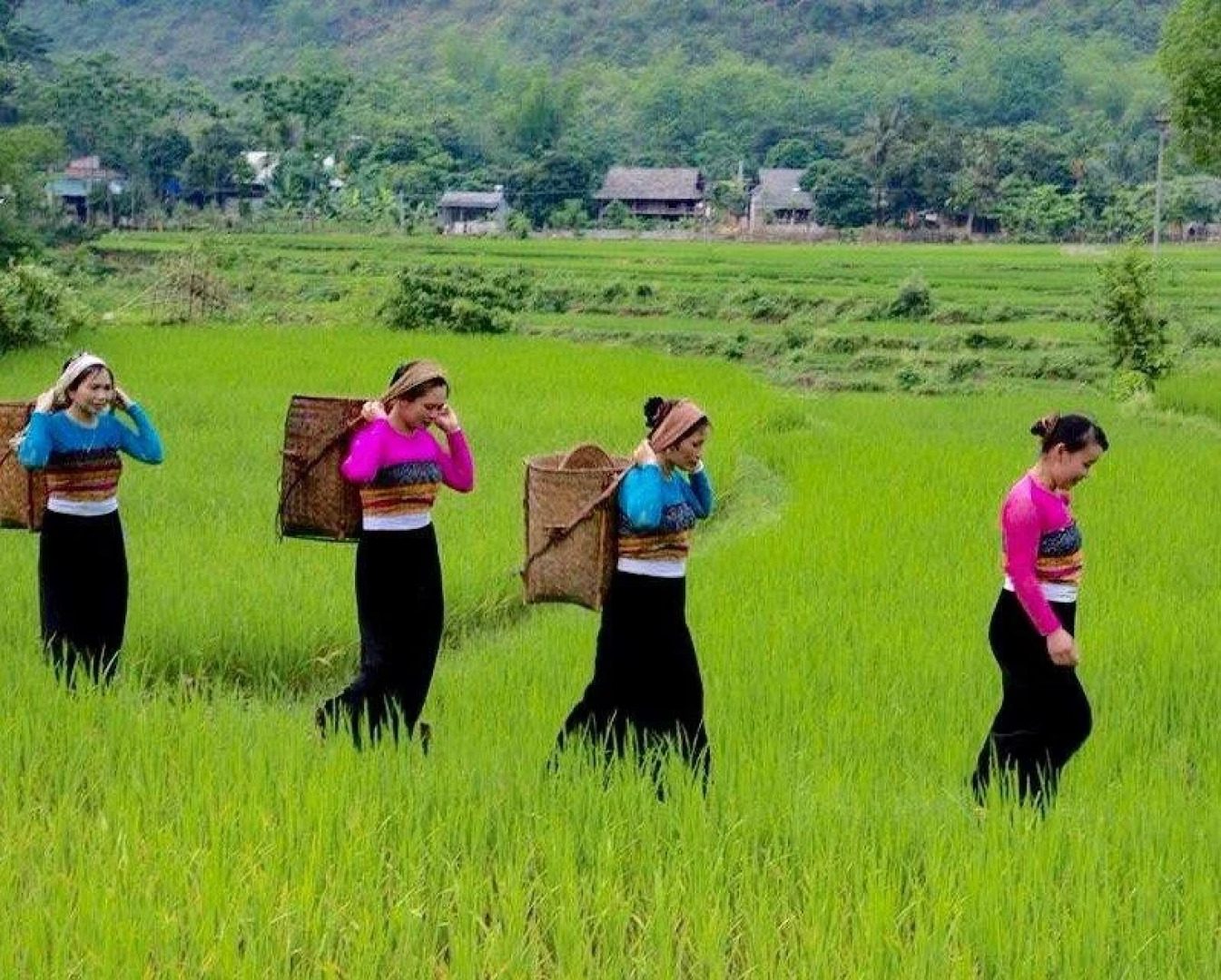 Eco Homestay - Hostel