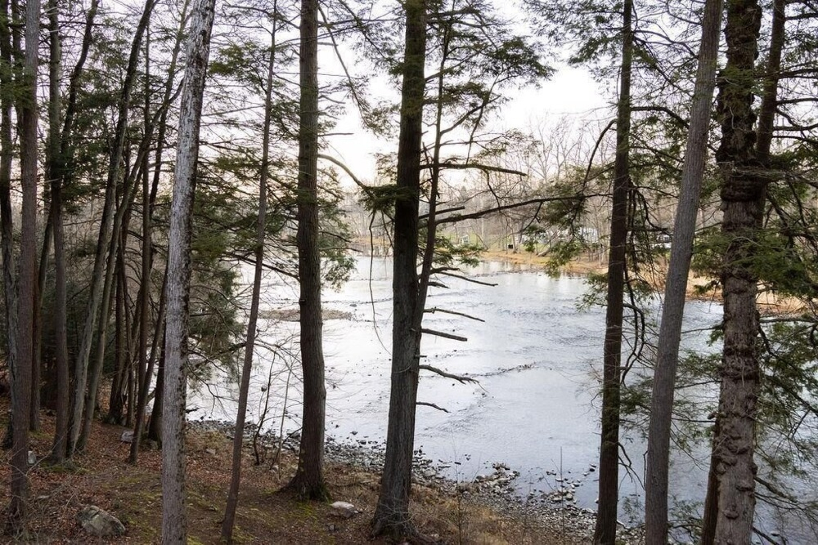Cabin ON THE River ~ Free Bikes and Kayaks ~ Patio