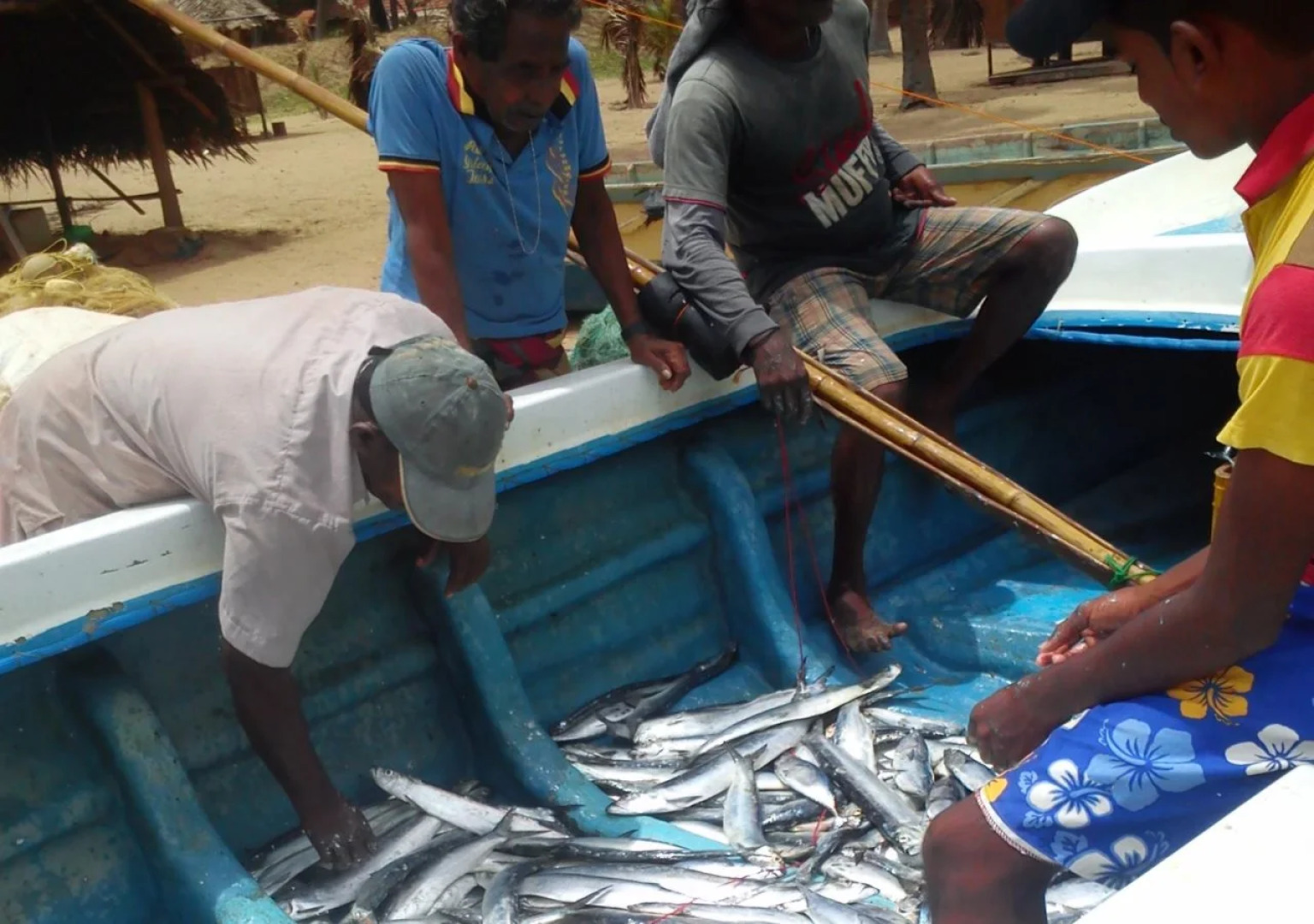 Alankuda Dolphin Village