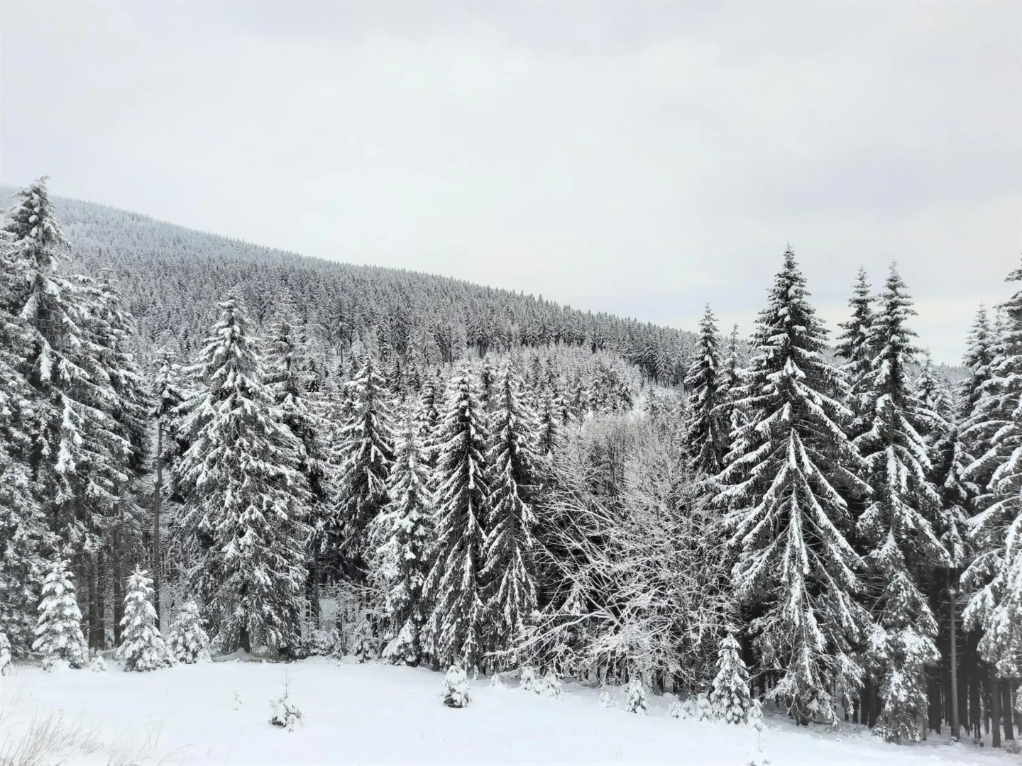 Velký apartmán Cihlarka pro až 17 osob
