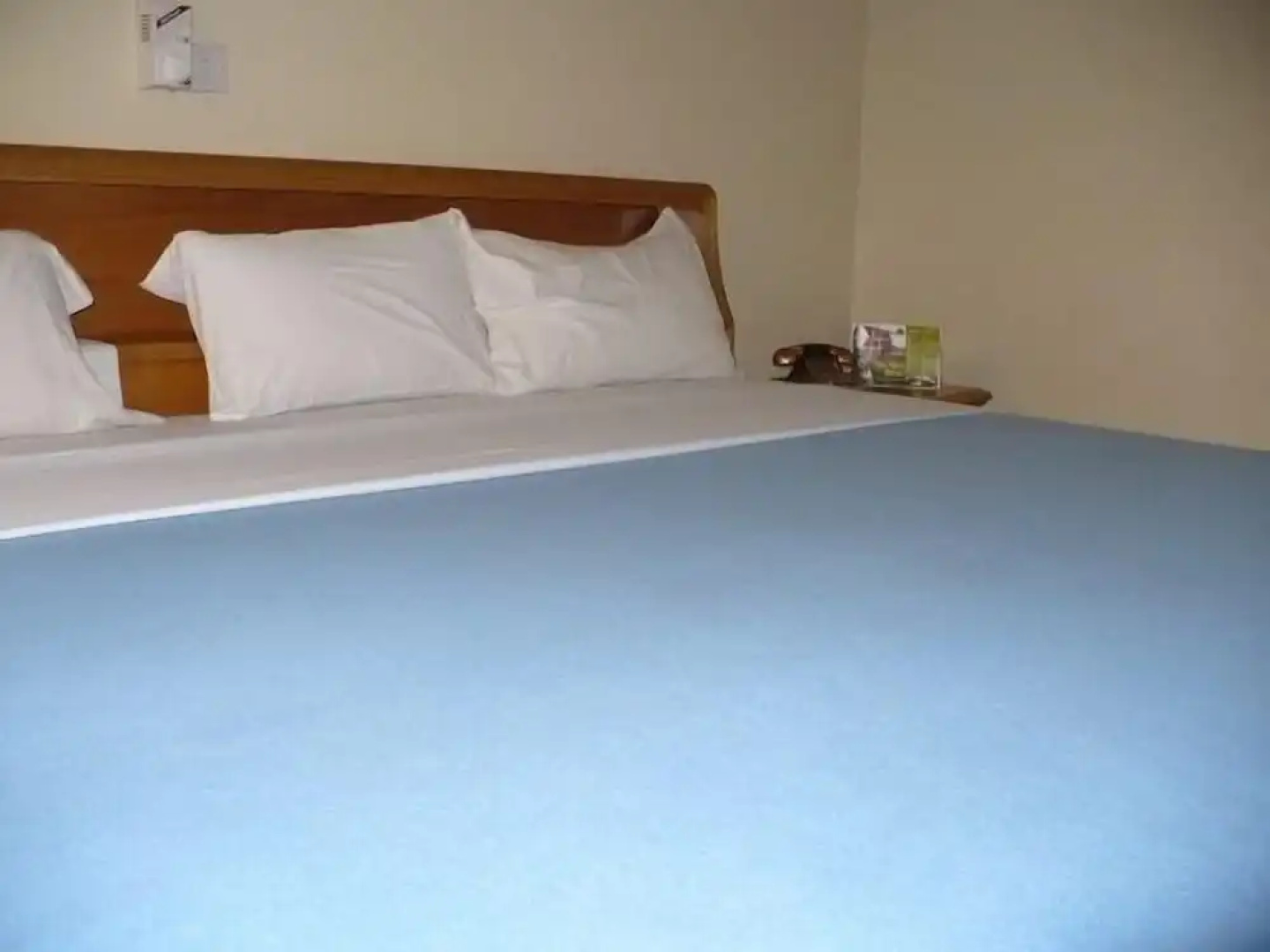 True Vine Hotel