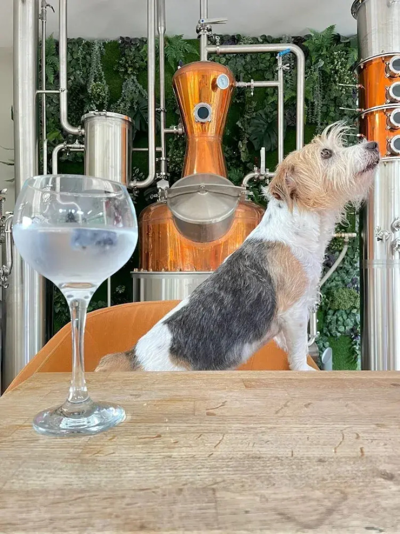 The Eagle House Hotel