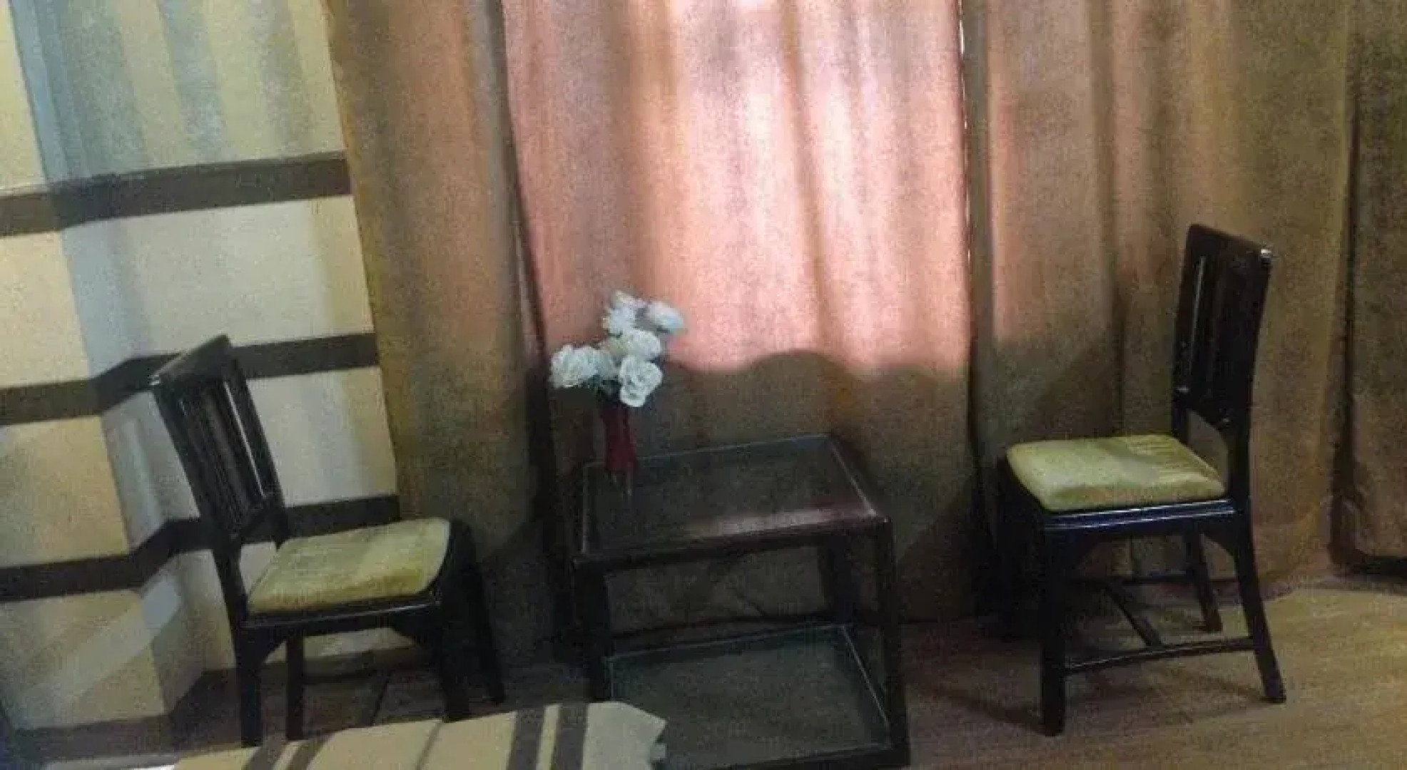 Amrapali Tourist Resort