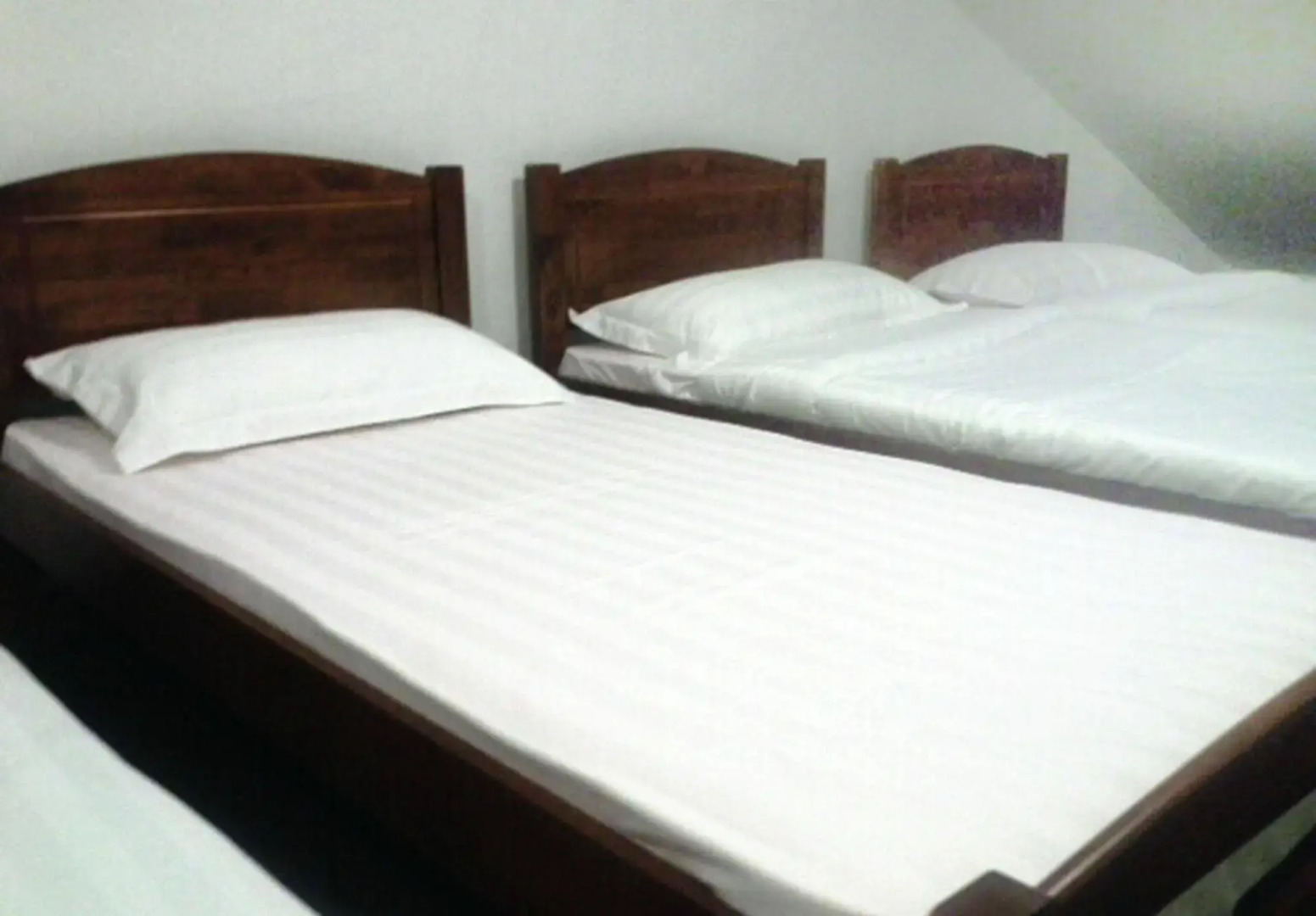 Always Growing 79 Guesthouse