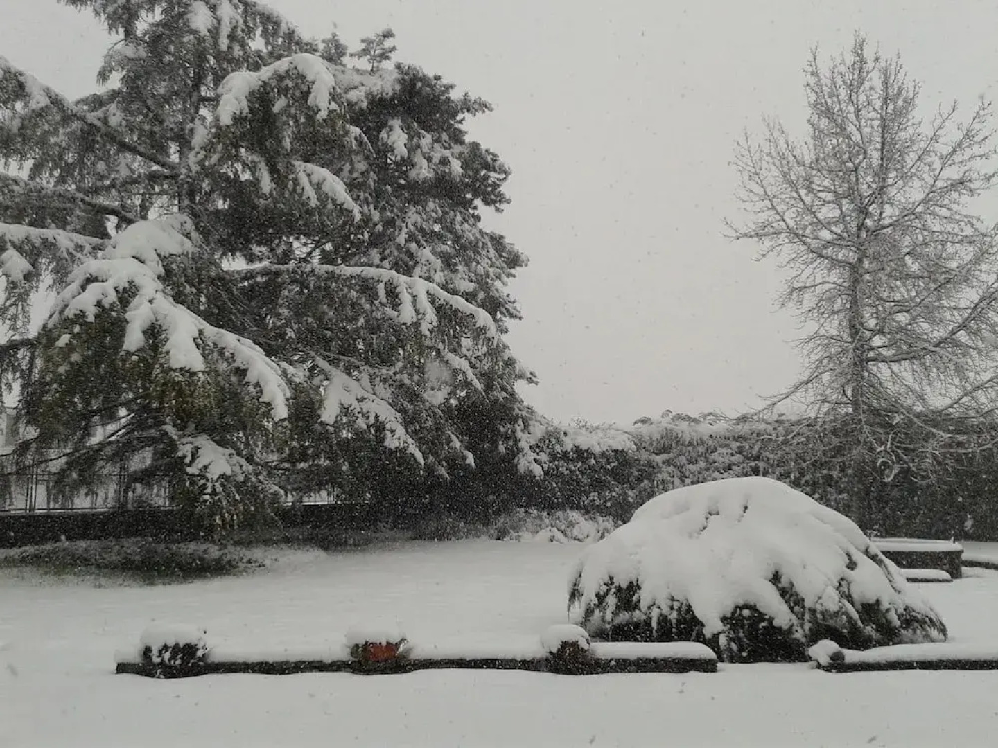 B&B Villa Ceirano Charme