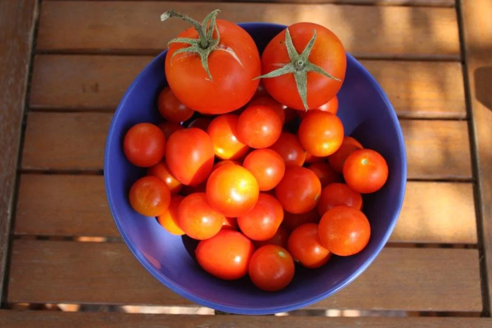 Aperanti Agrotourism