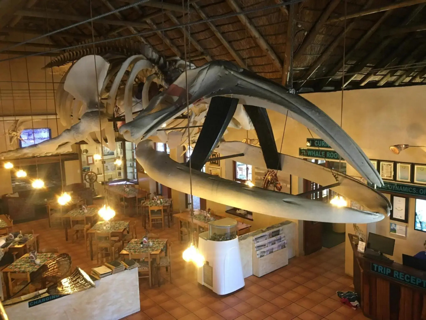 Casa Balena - Gansbaai seafront accommodation, back-up power