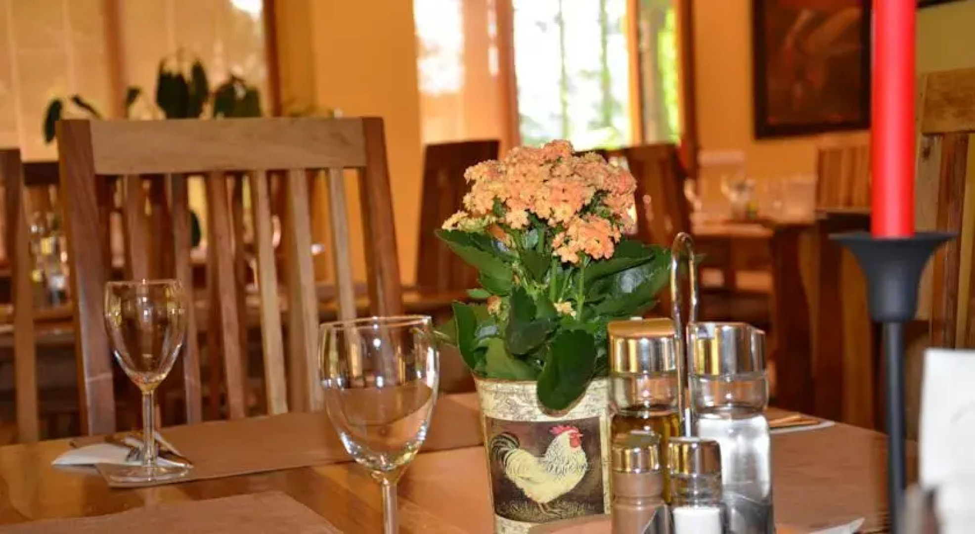 Pensiunea Gainusa de Munte