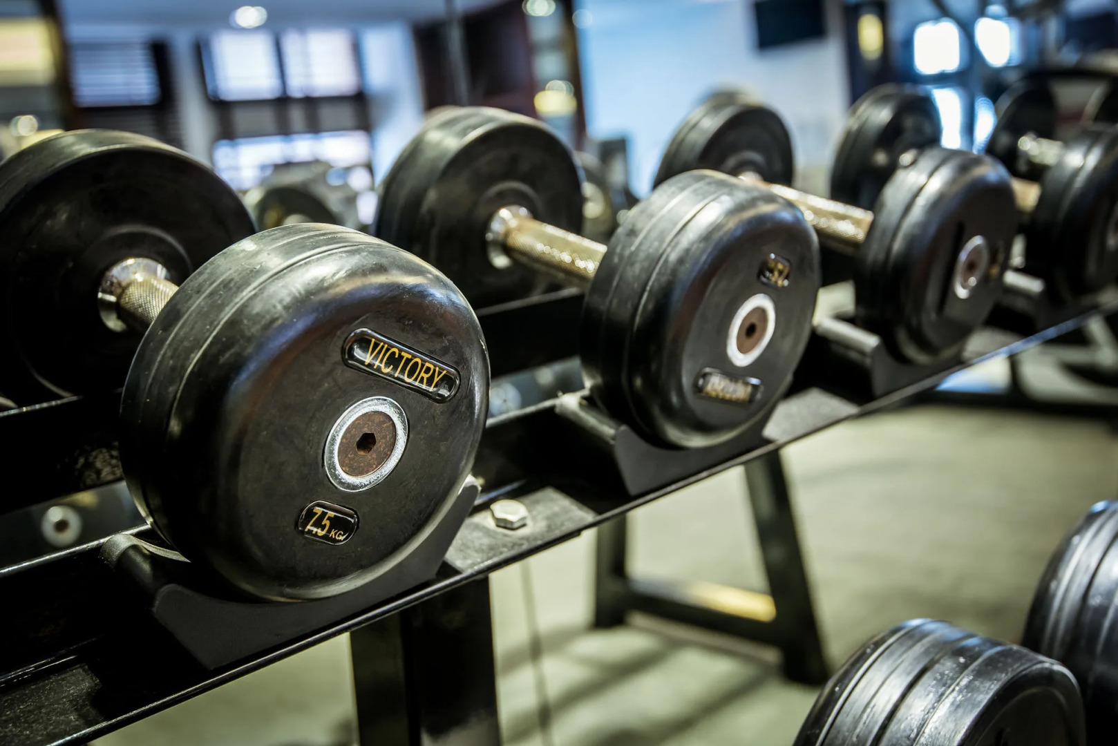 Royal Lotus Hotel Ha long