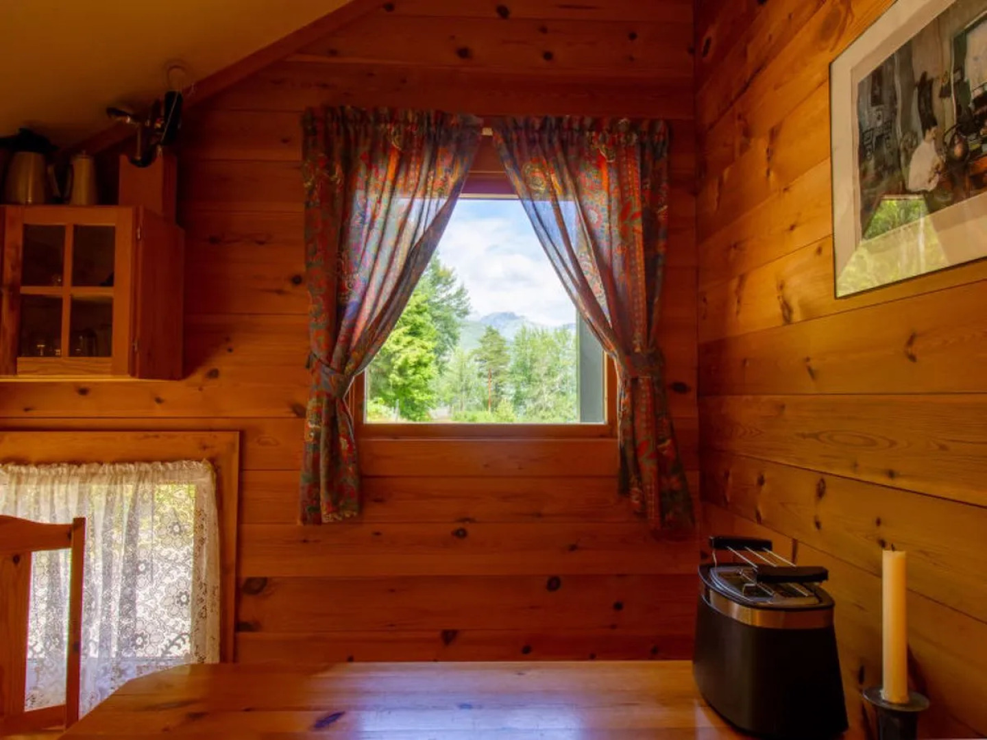 Veganeset I (FJS294)