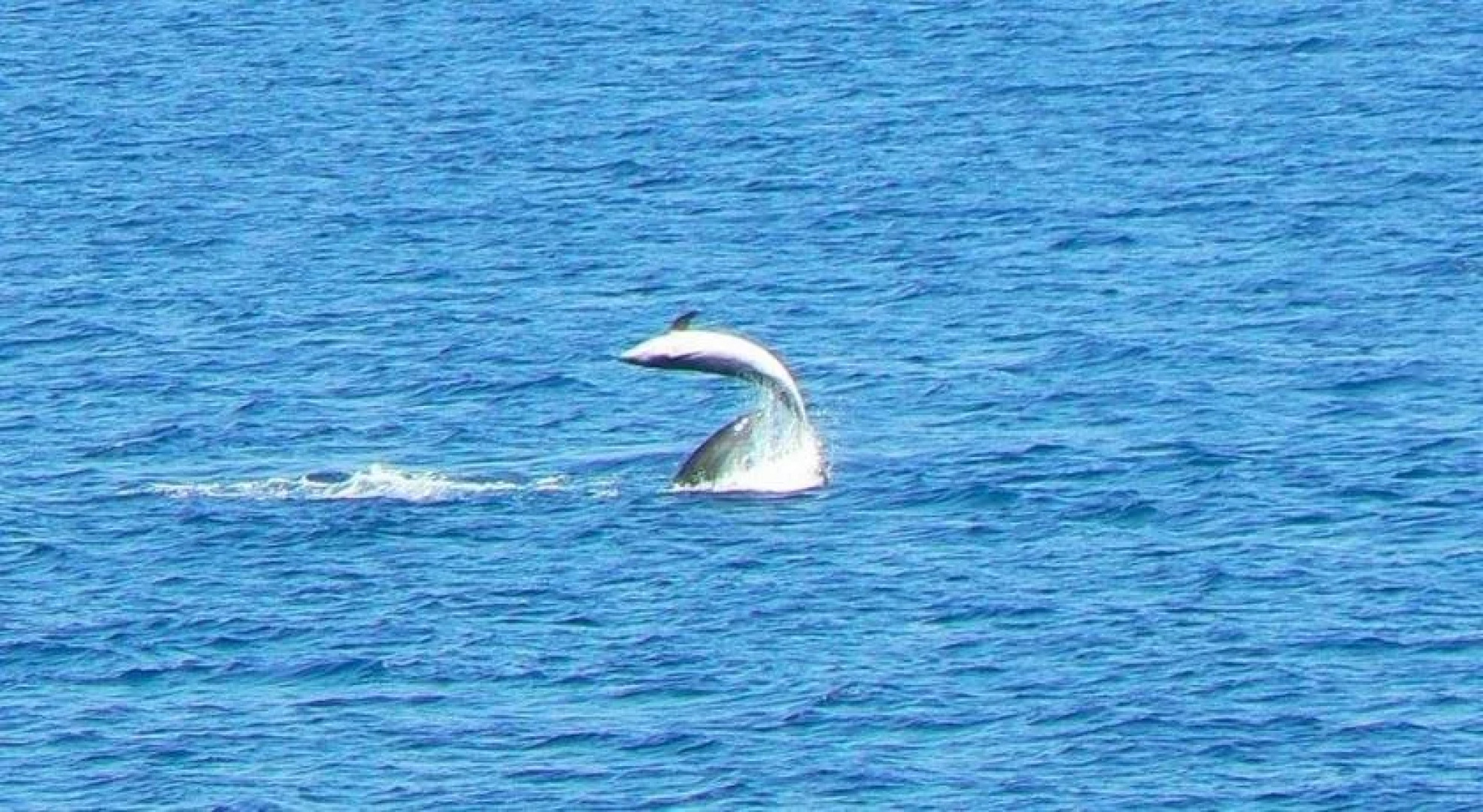 Apartments and Rooms Mladenka