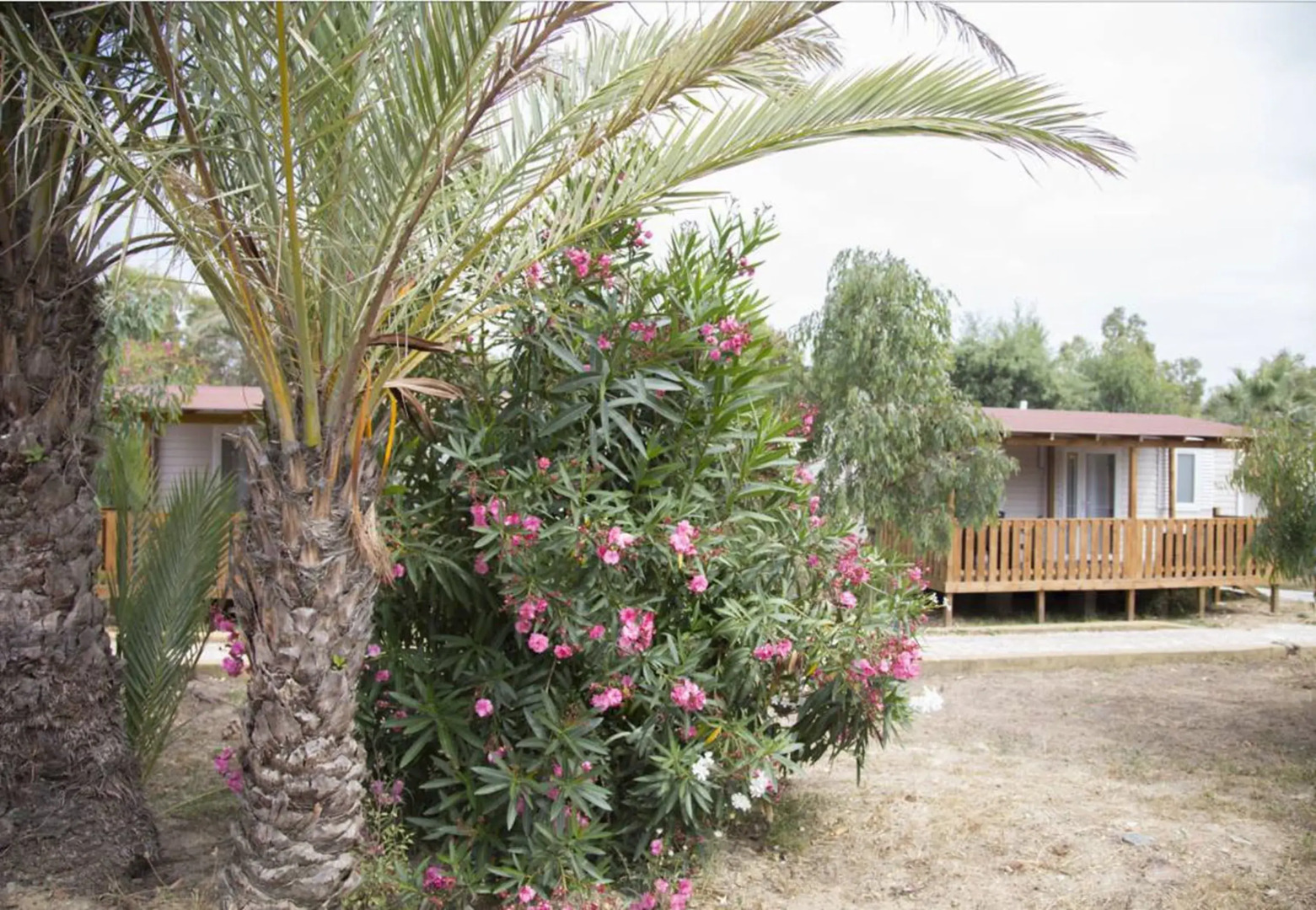 Campeggio Villaggio Sos Flores