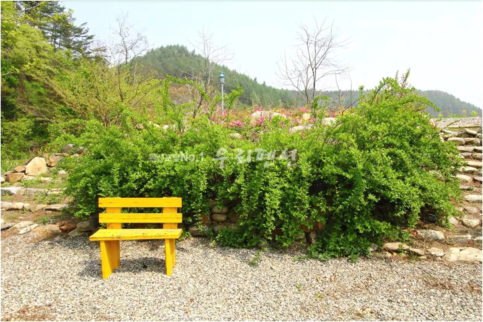 Jeongseon Click Pension