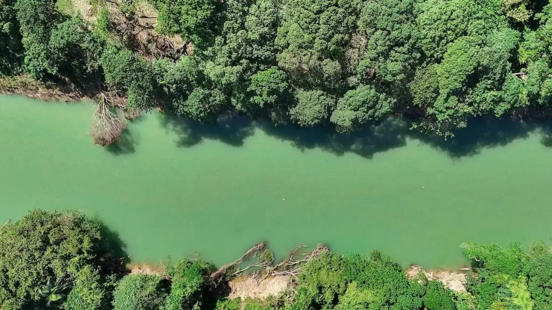 REFUGIO Sabaneta de Yásica