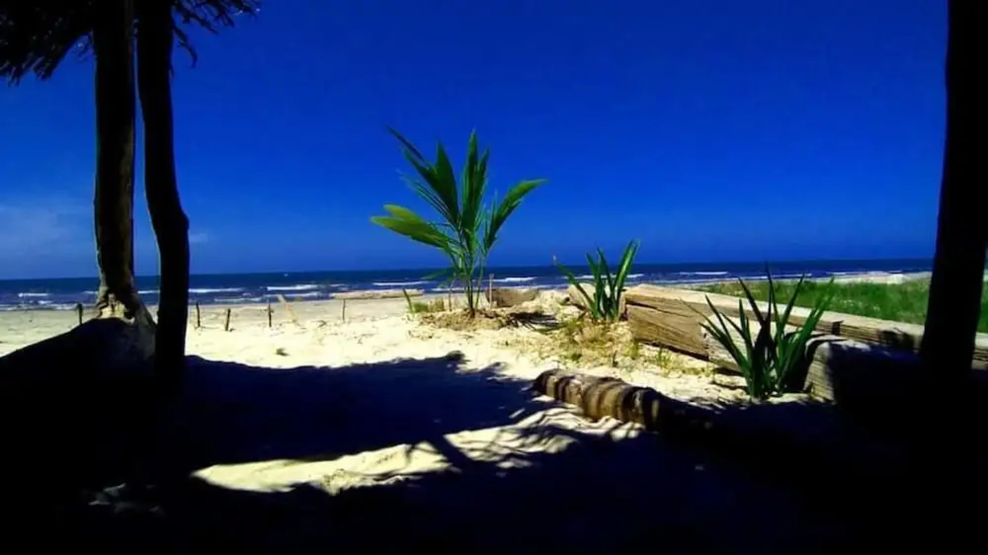 Urantia Beach Hostel & Camping