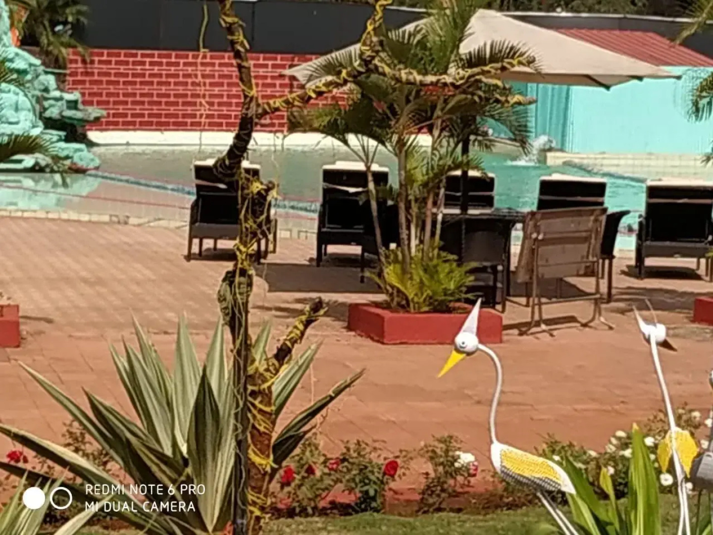 Whispering Woods Resort-Lonavala