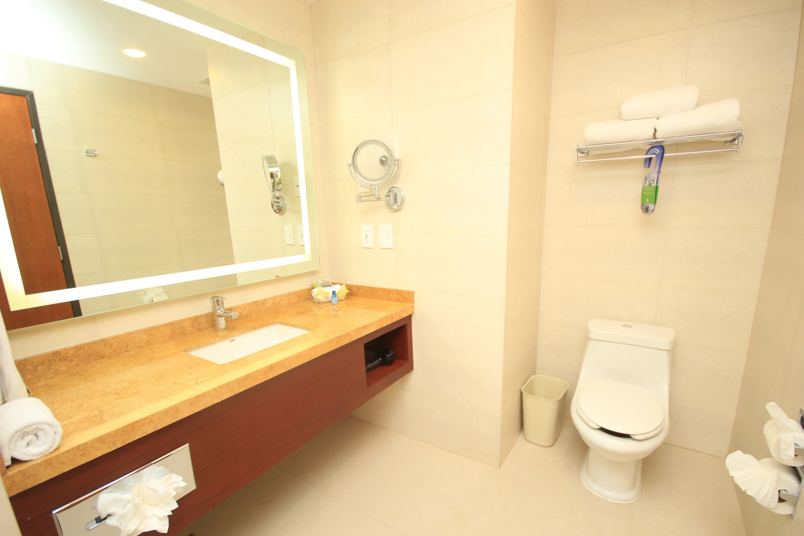 Holiday Inn Leon Plaza Mayor by IHG