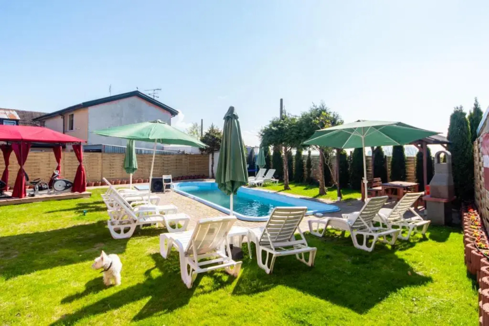 Dom Goscinny Admiral