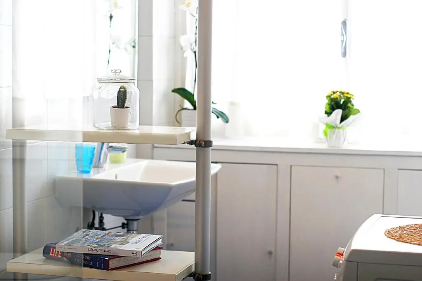 Albero della Fortuna