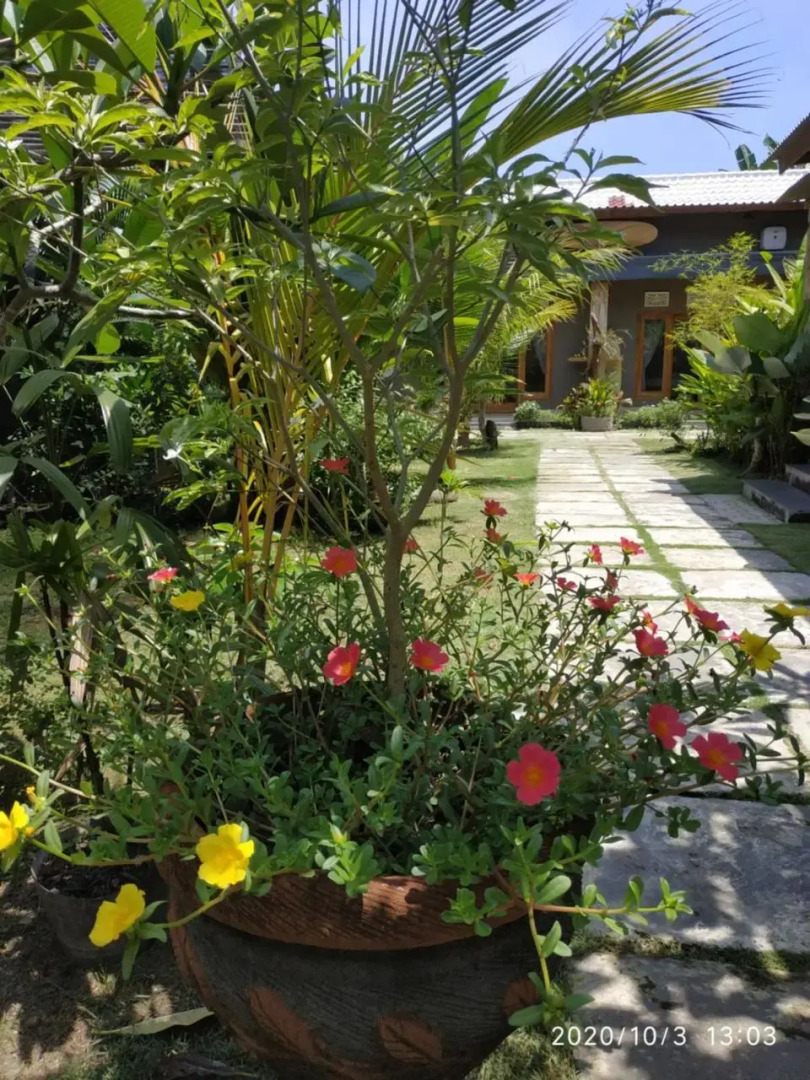 Surf Retreat Villa Sari