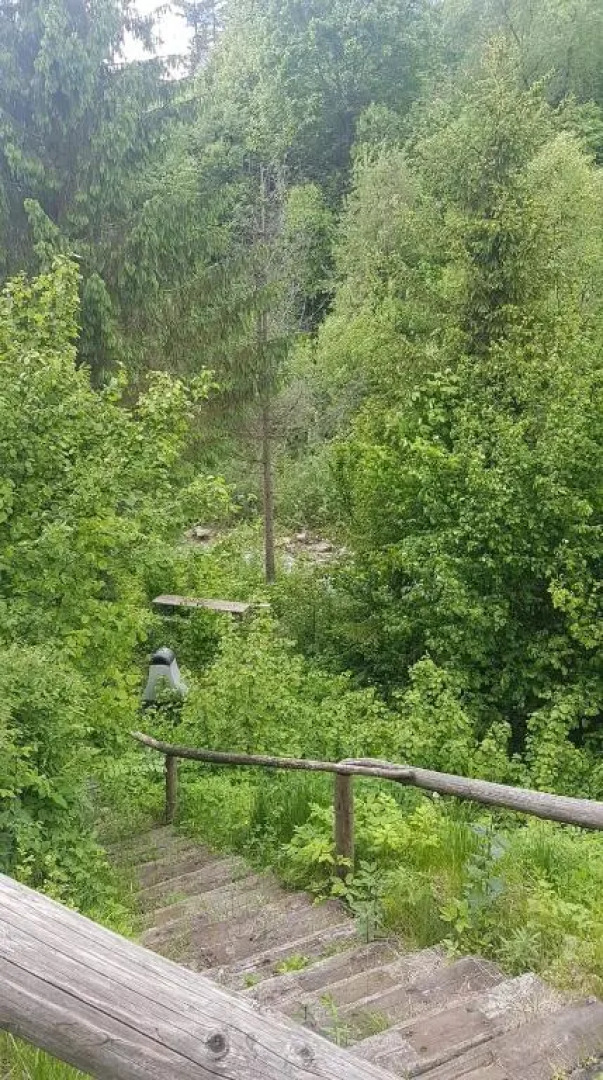 Apartamenty Homole Apartament D5