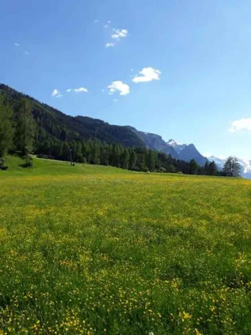 Katja´s Ferienwohnung