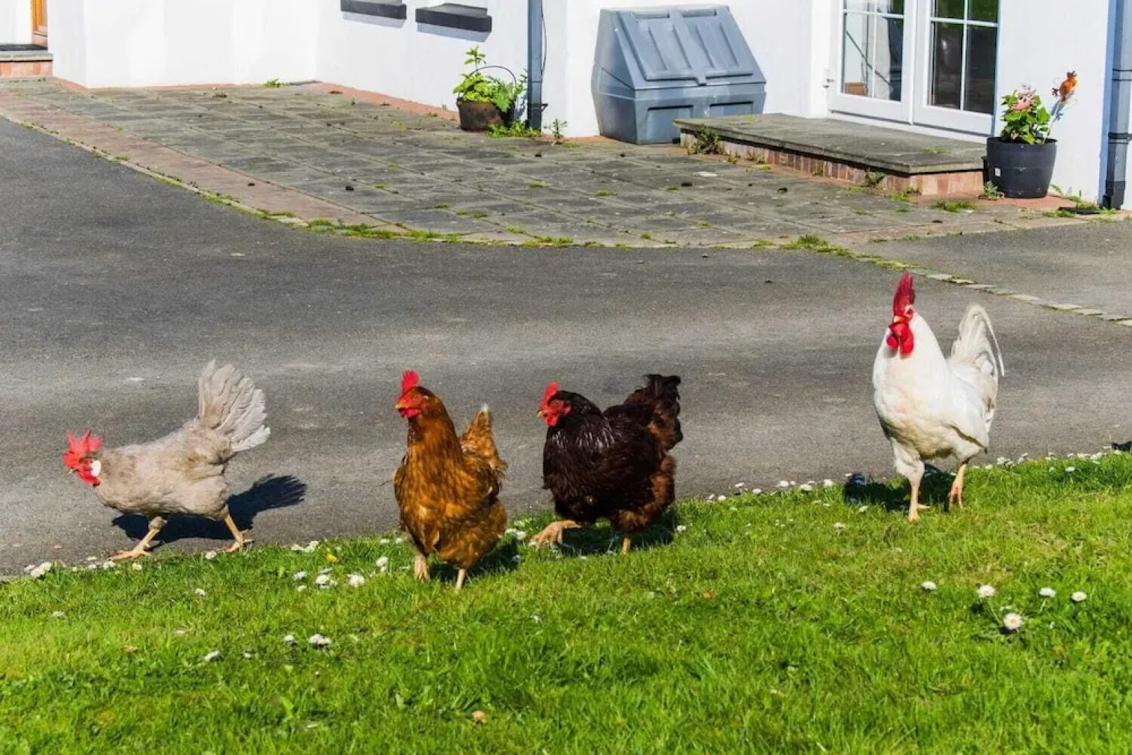 The Heights & Hollows Farmhouse