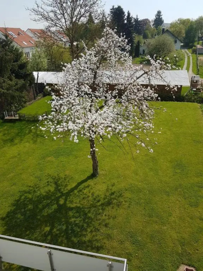 Apartment near Frankfurt, fantastic view!