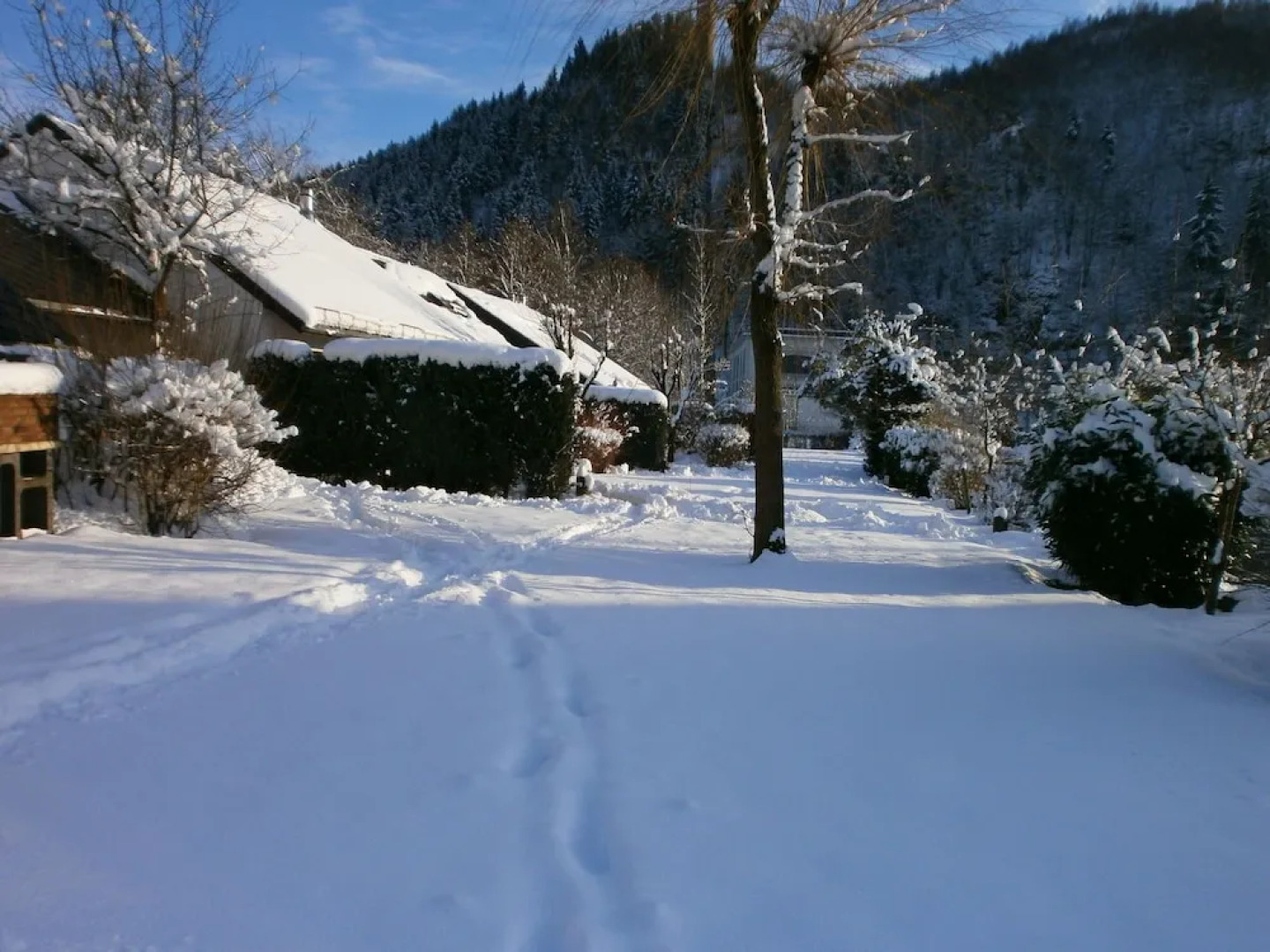 Cozy holiday home with fire place, close to Malmedy