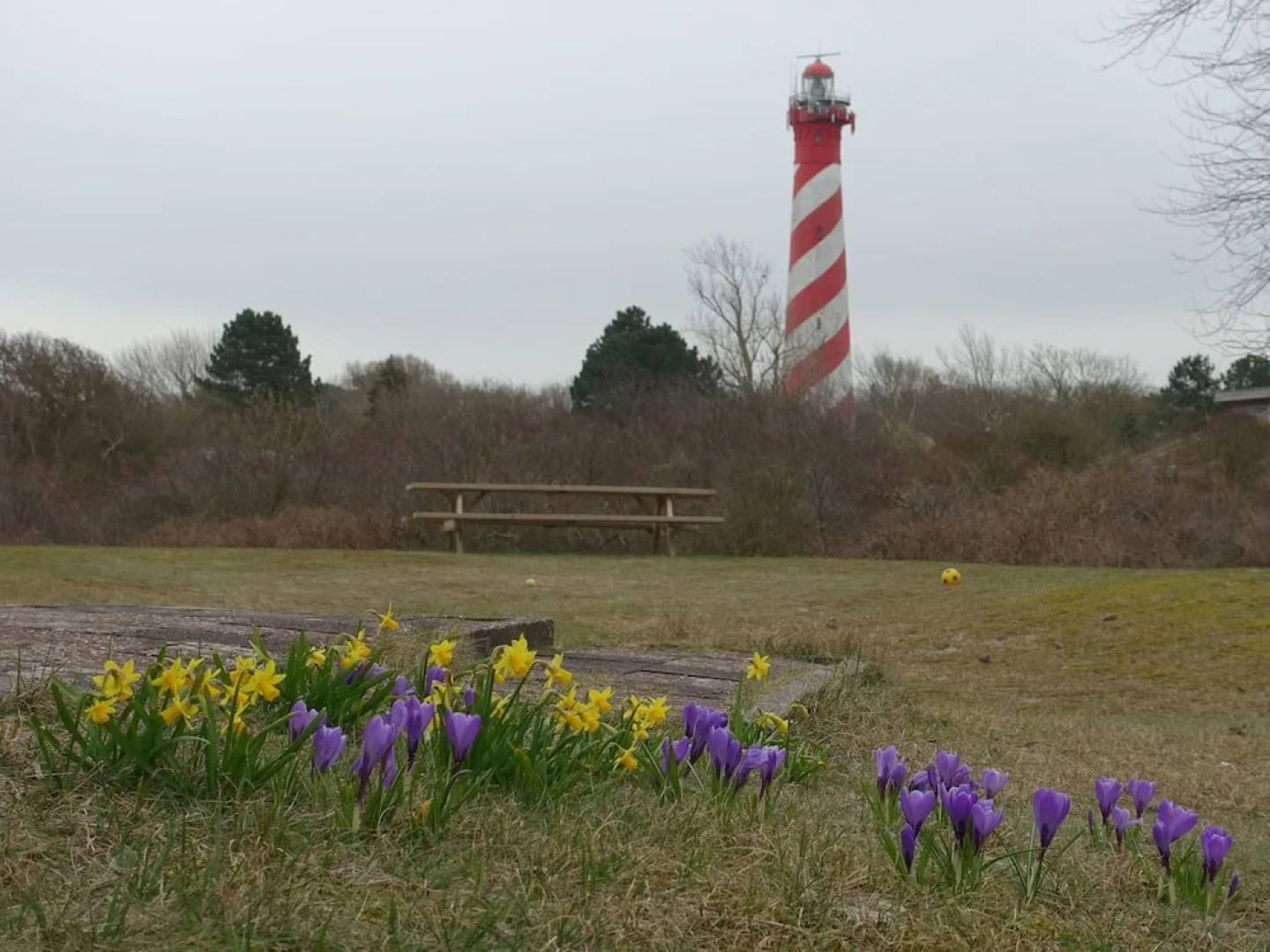 Holiday Home in the Dunes of Burgh-haamstede With a View of the Lighthouse