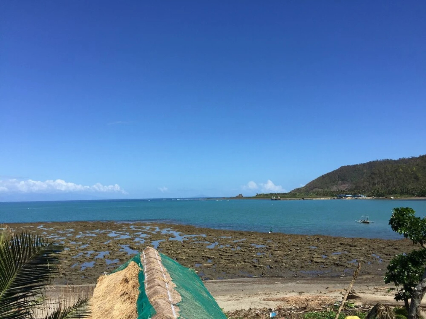 Dew Drop Inn Oceanside B&B