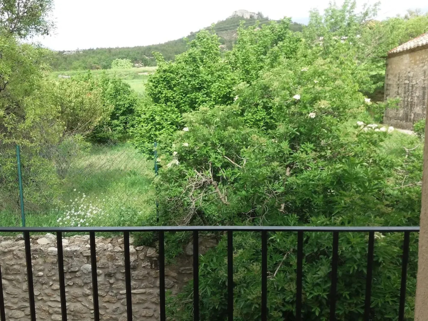 Apartamentos Bergantes