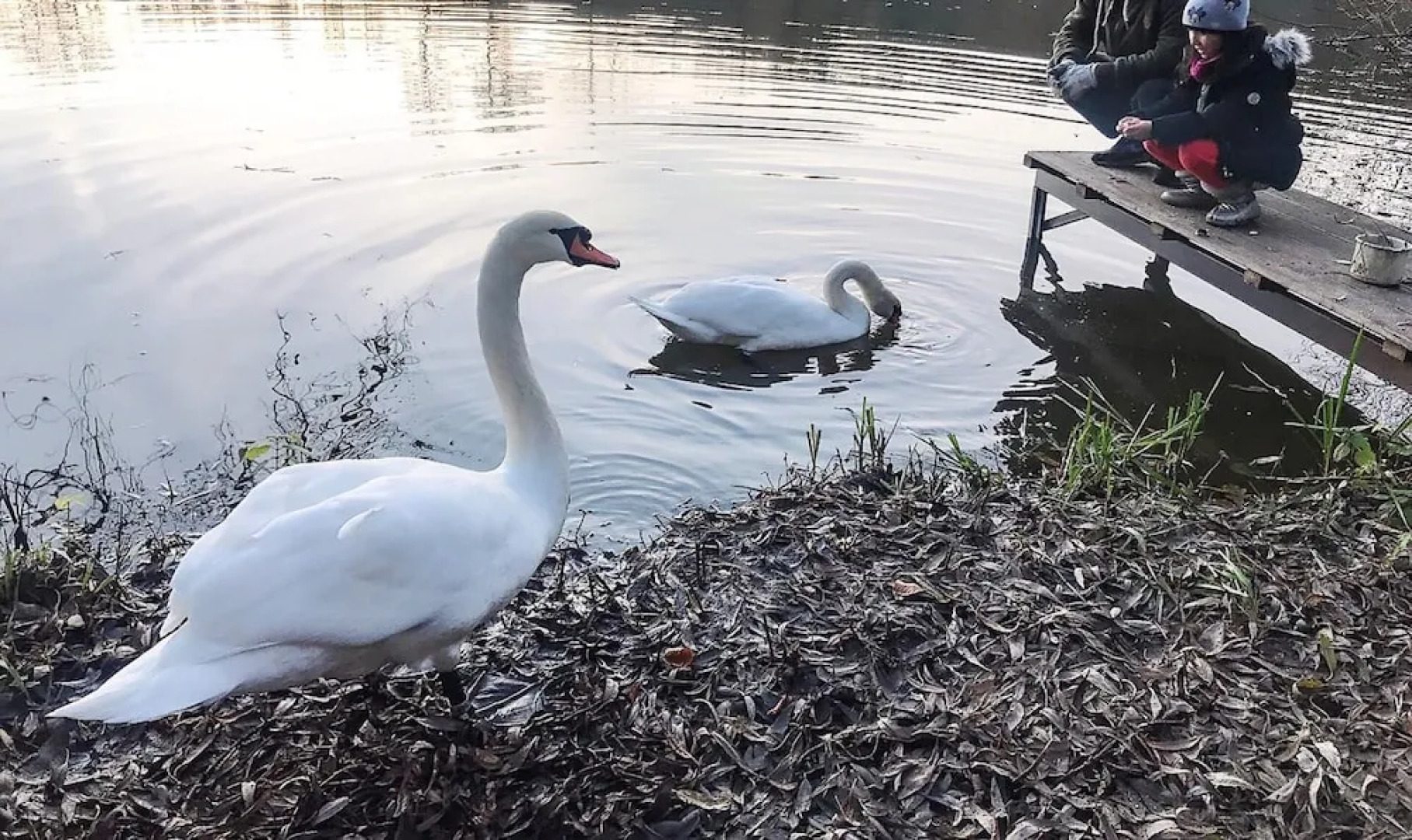 Sazava River Cottage With Boating Experience